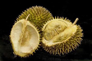 Durian Fruit: Who Should Approach with Caution