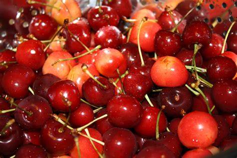 Cherries: Bursting with Flavor and Health Benefits