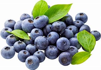 Blueberries: Nature's Nutritional Gems - Expert Nutrition Tips