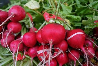 The Remarkable Health Benefits of Radish for the Human Body