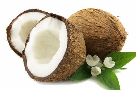 "Embracing Wellness: The Nutritional Powerhouse of Coconuts for a Healthier Life"