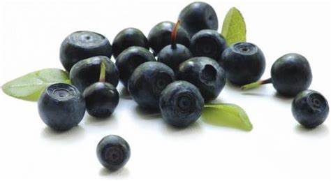 The Açaí Berry: A Superfood for a Super You