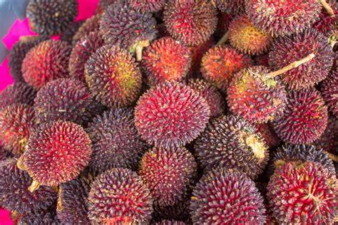  "Rambutan: A Tropical Delight Packed with Health Benefits"