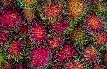 The Daily Delight: Exploring the Benefits of Eating Rambutan Fruit Every Day