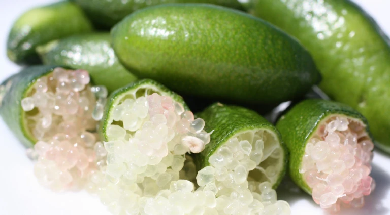 "Finger Lime: A Burst of Health in Every Bead"