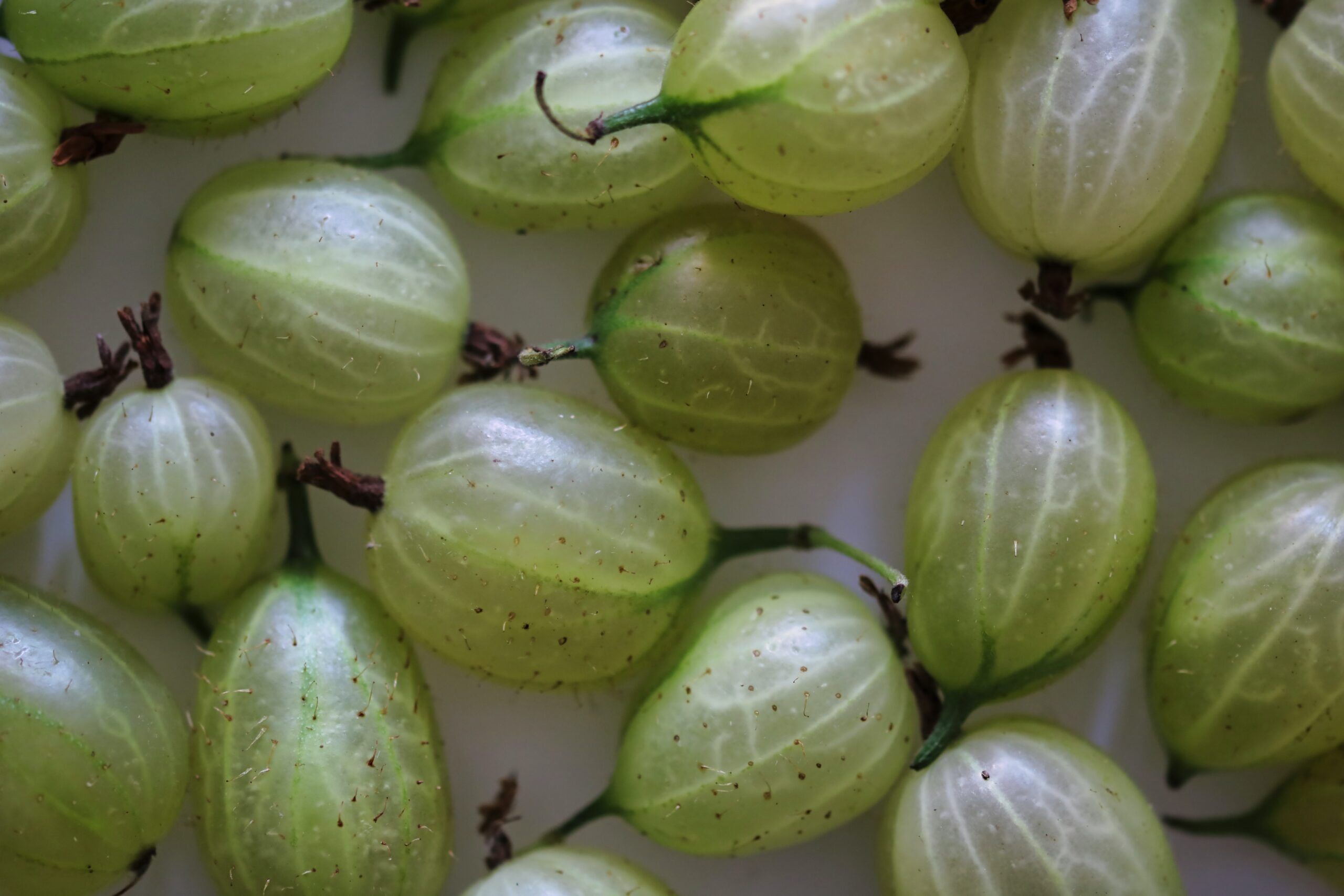 "Gooseberry: A Nutrient-Packed Superfruit for Your Health"