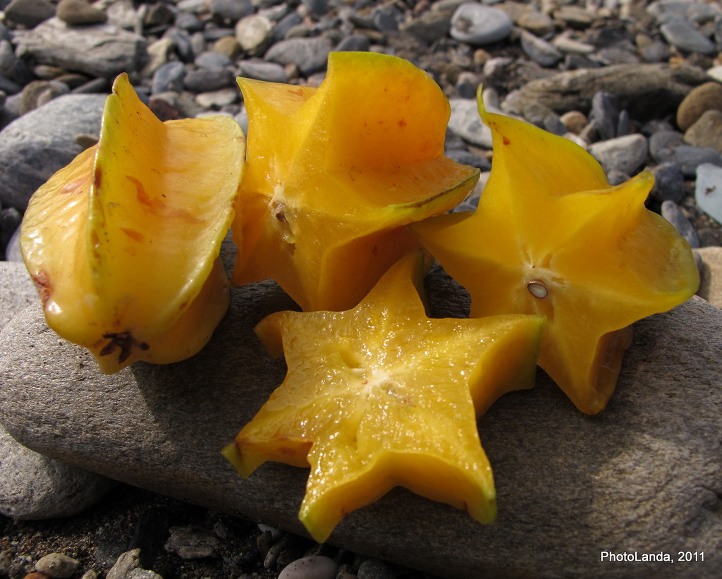  The Health Marvel of Star Gooseberry (Carambola): A Star in Our Diet