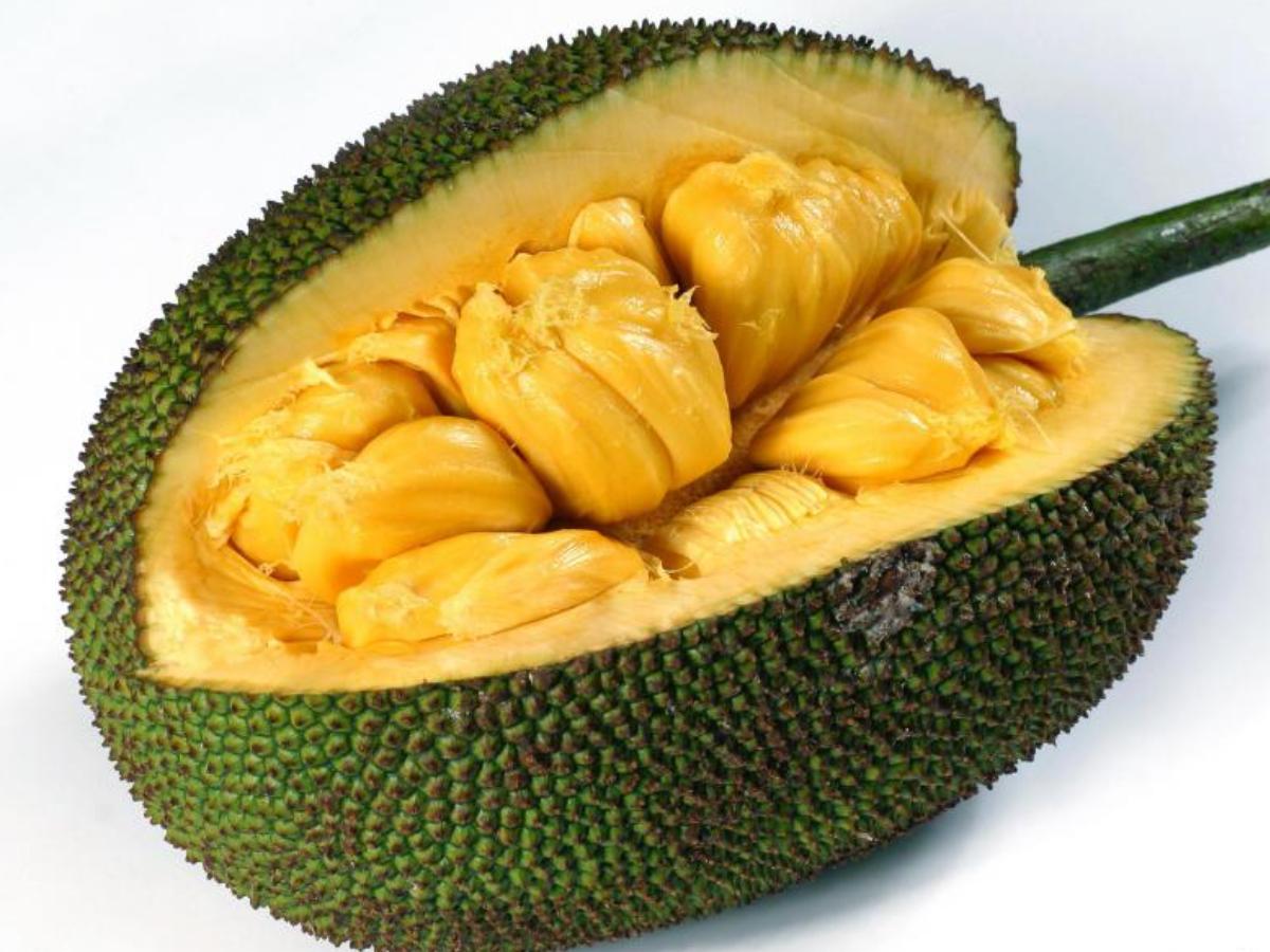 "The Nutritional Powerhouse: Embrace a Healthier Life with Jackfruit"