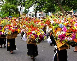 Celebrating Tradition and Culture: Medellín's Desfile de Silleteros