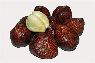 Salak (Snake Fruit): Discover the Enigmatic Tropical Delight