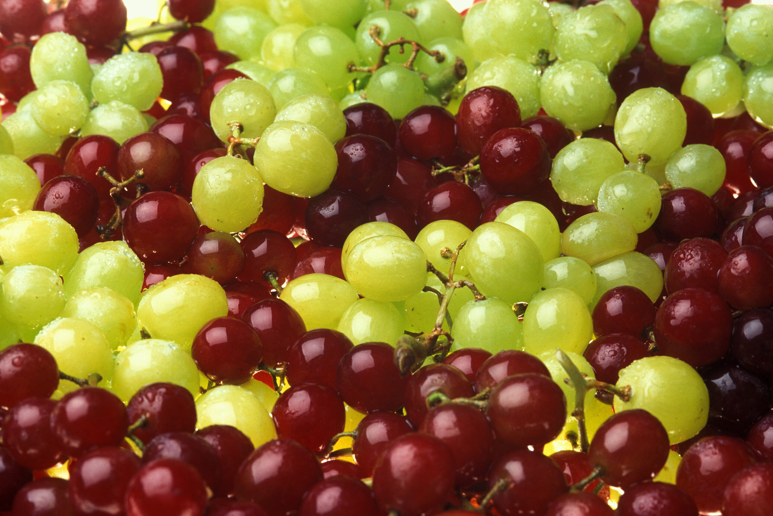 Grapes: Nature's Sweet and Healthy Gems