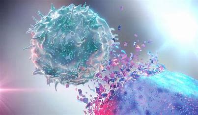 Immunotherapy's Success :Improving Cancer Treatment