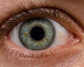 Blink Better, See Better: 10 Surprising Habits for Radiant Eye Health!