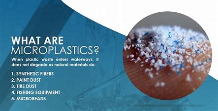 Plastic in Every Sip: Investigating the Nanoplastics Menace in Bottled Water in 2024
